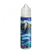 Lemonade Glacée 50ml - Les Fruits d'Eden